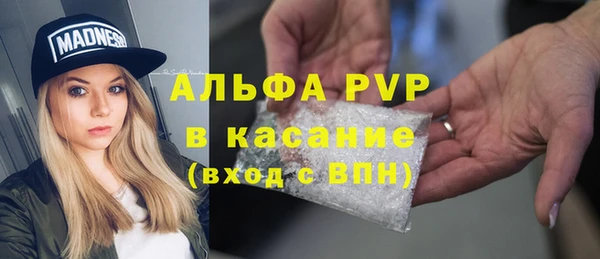 спиды Нефтекумск
