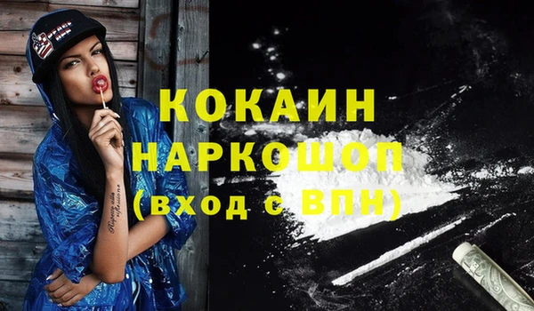 хмурый Нея