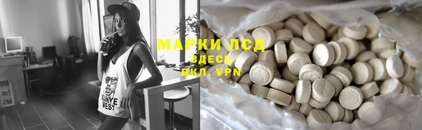 спиды Нефтекумск