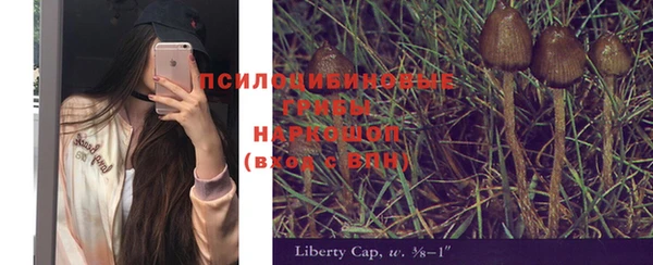 хмурый Нея