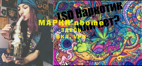 хмурый Нея
