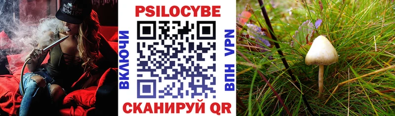 Псилоцибиновые грибы GOLDEN TEACHER  Купить  Бугуруслан 